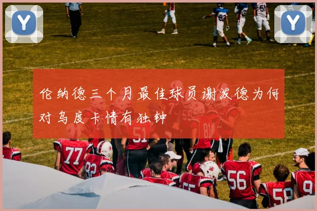伦纳德三个月最佳球员谢泼德为何对乌度卡情有独钟