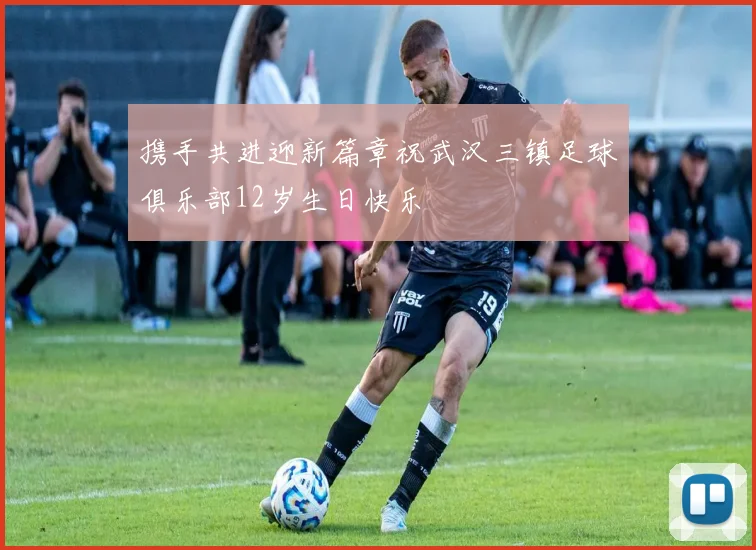 携手共进迎新篇章祝武汉三镇足球俱乐部12岁生日快乐