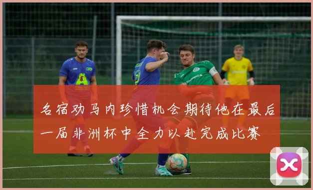 名宿劝马内珍惜机会期待他在最后一届非洲杯中全力以赴完成比赛